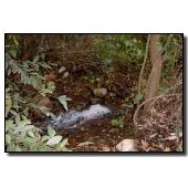 set001-photo02