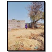 set031-photo433
