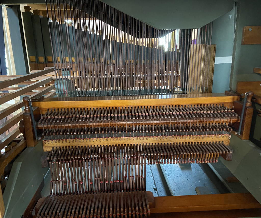 Organ Internals