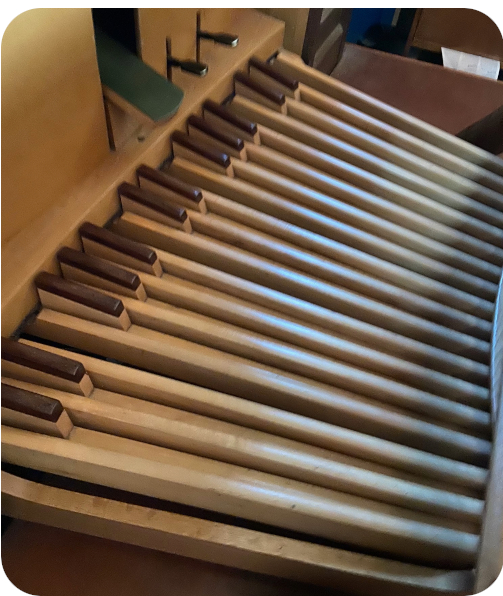 Organ pedals
